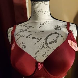 Angelina Bras 40D ivory & maroon new full coverage